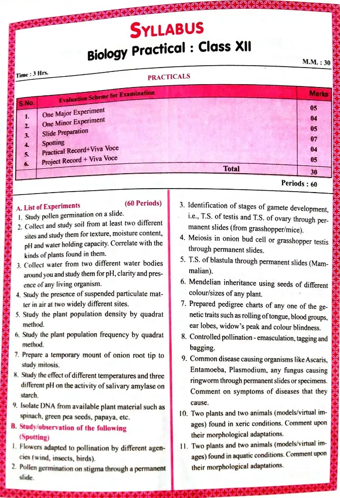 Document 13_34.webp